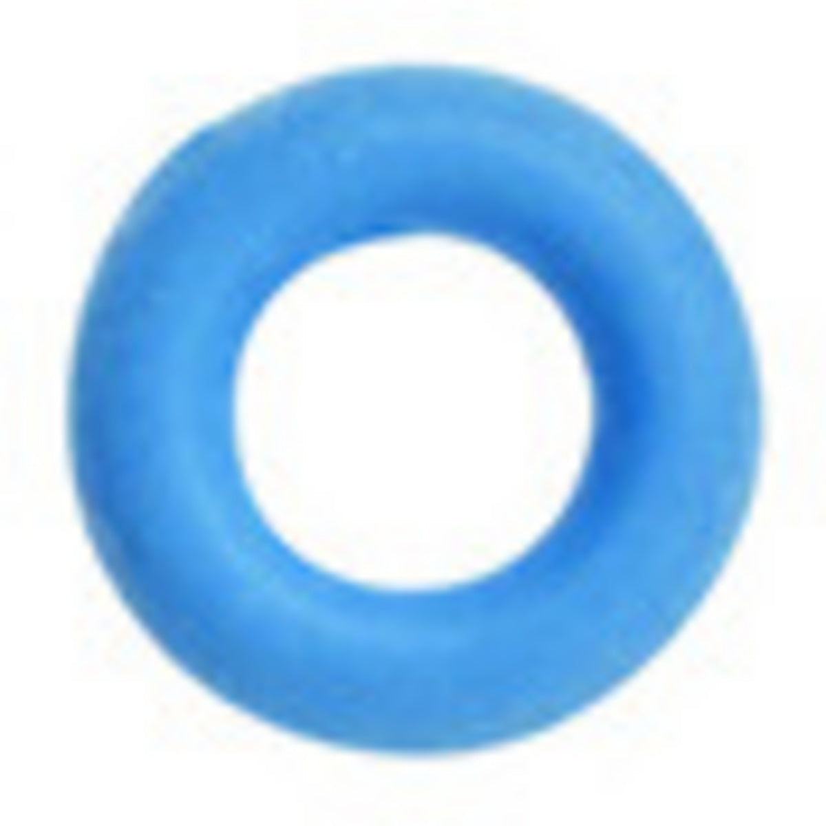 O-Ring für Brennstoffregler