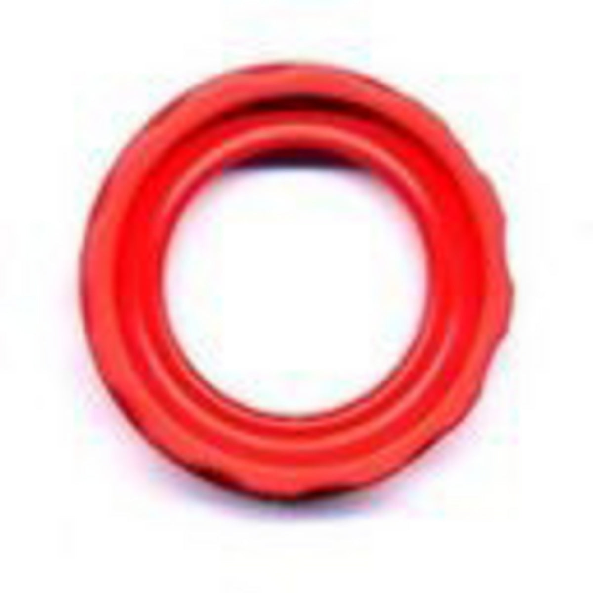 Fuel Pump Seal