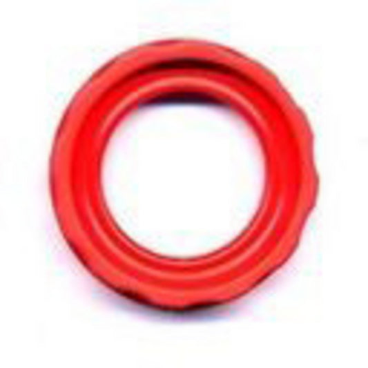 Fuel Pump Seal