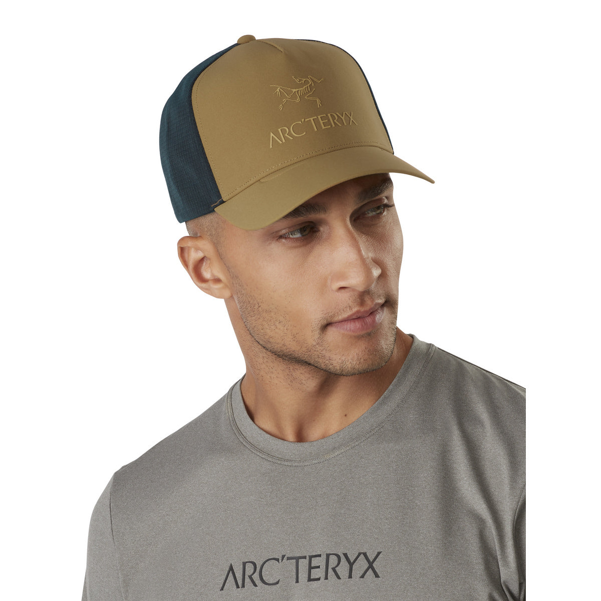 {"assetId":1683549,"assetVersion":0,"exportFormatId":"c245"}