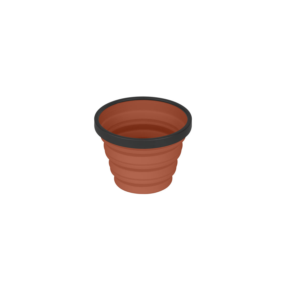 {"assetId":1771554,"assetVersion":0,"exportFormatId":"c245"}