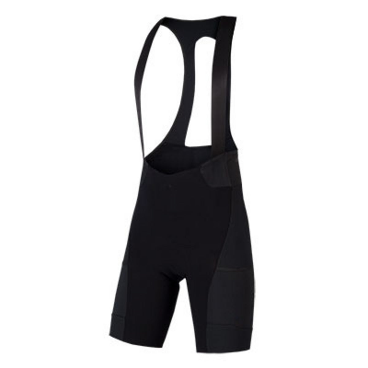 GV500 Reiver Bibshort