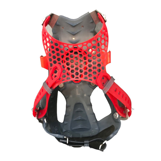 Binding Ascent Paragon 19 Wms L