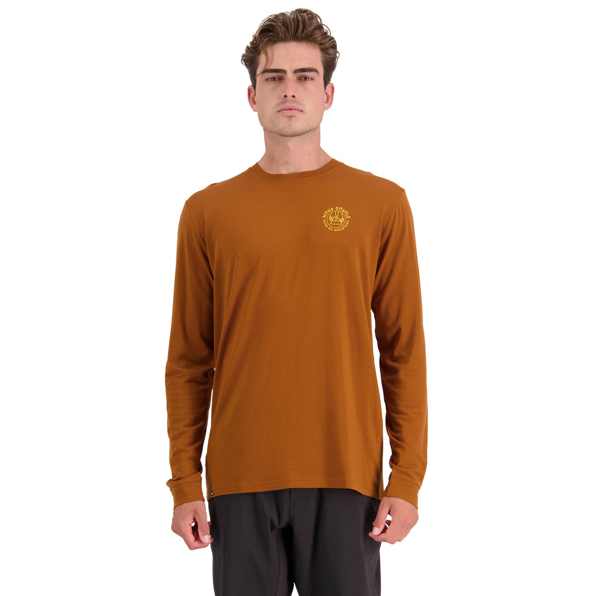 Icon LS