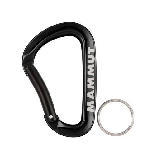 Mini Carabiner Workhorse Keylock L