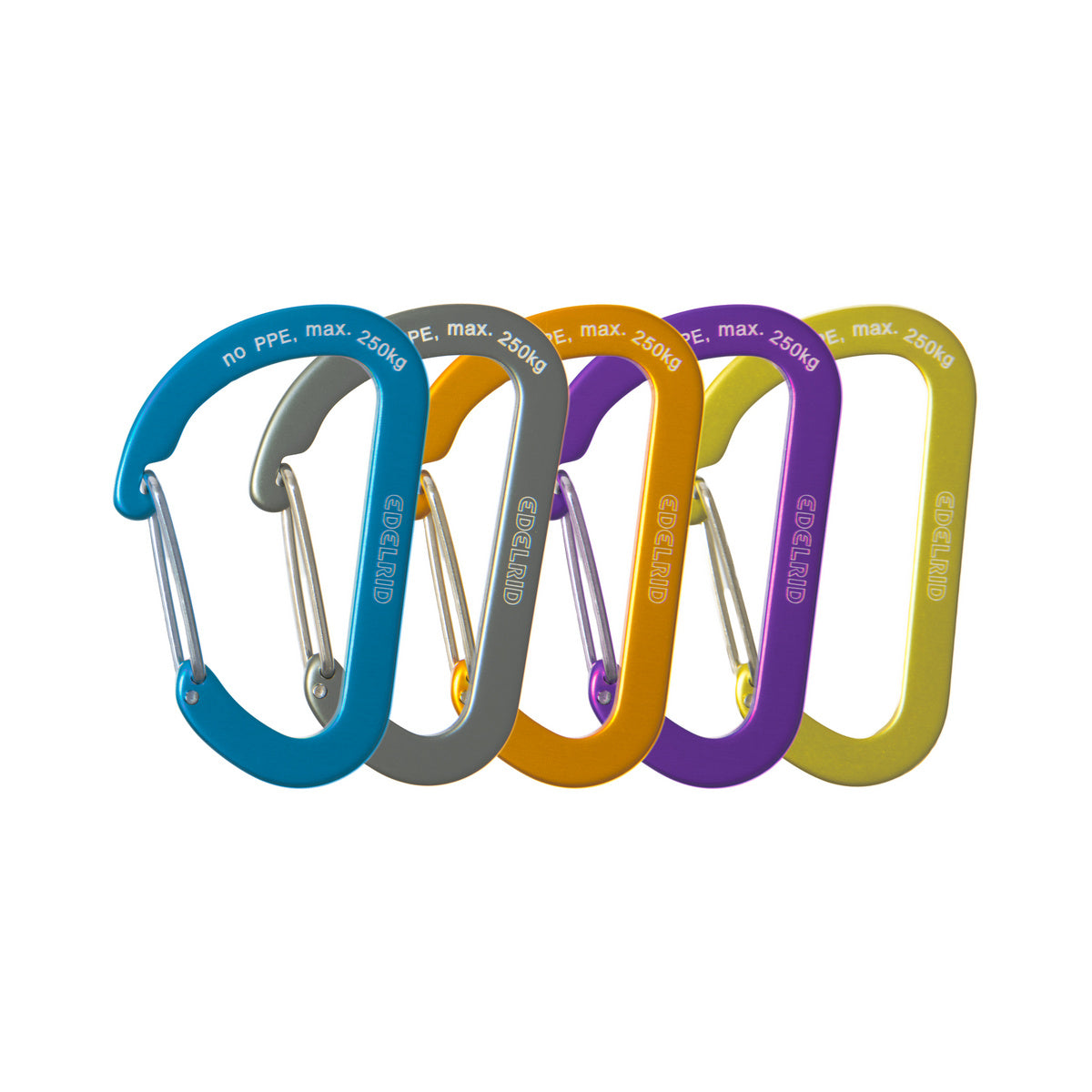 {"assetId":2101760,"assetVersion":0,"exportFormatId":"c245"}