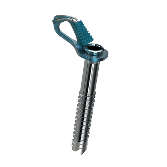 {"assetId":2101942,"assetVersion":0,"exportFormatId":"c245"}