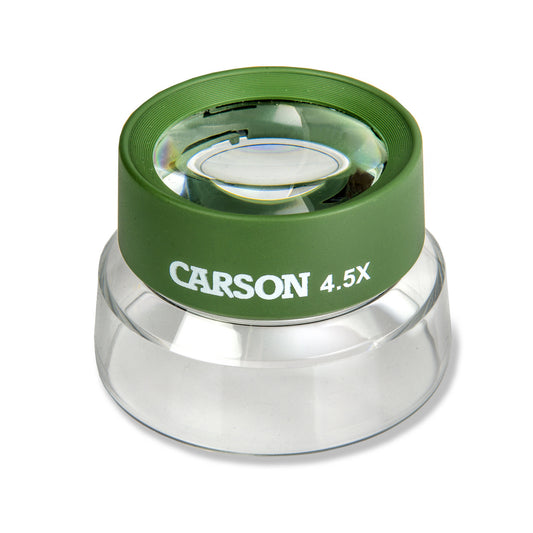 {"assetId":2105312,"assetVersion":0,"exportFormatId":"c245"}
