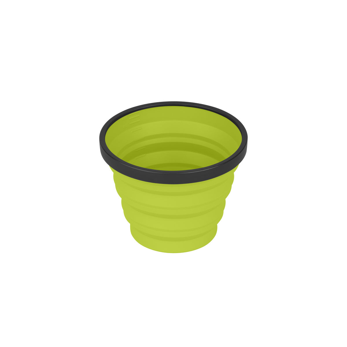 {"assetId":2186304,"assetVersion":0,"exportFormatId":"c245"}
